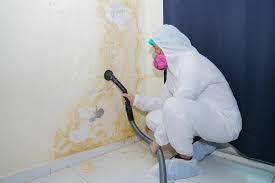 Best Comprehensive Air Testing for Mold Contaminants  in Concord, NH